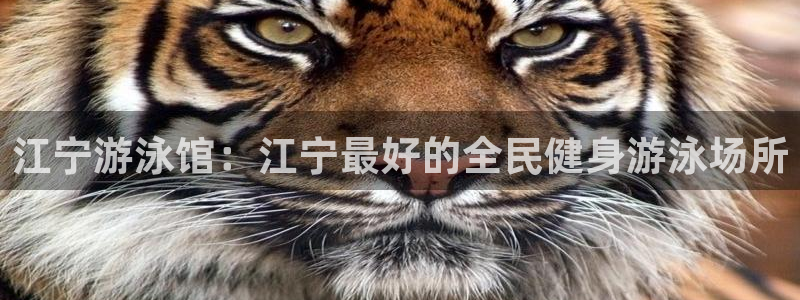 尊龙凯时下载人生就是博：江宁游泳馆：江宁最好的全民健身游