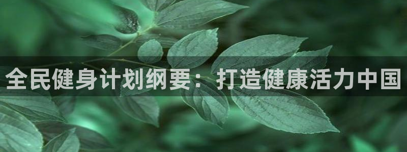 尊龙公司：全民健身计划纲要：打造健康活力中国