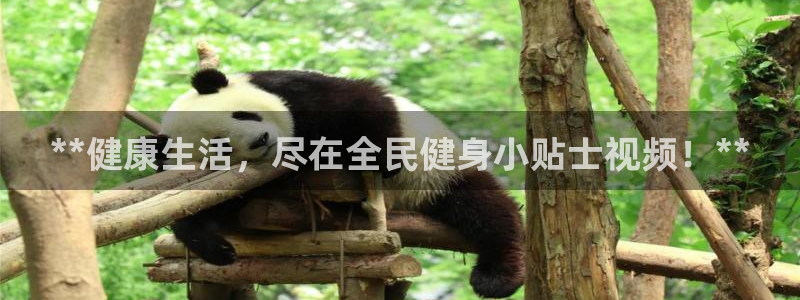 尊龙人生就是博旧版手机可靠送38元：**健康生活，尽在全