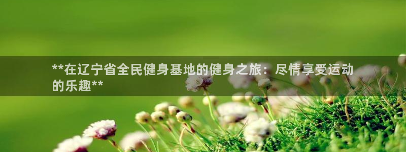 尊龙官网首页：**在辽宁省全民健身基地的健身之旅：尽情享