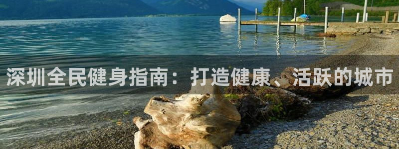 尊龙手机官方客户端下载安卓：深圳全民健身指南：打造健康、
