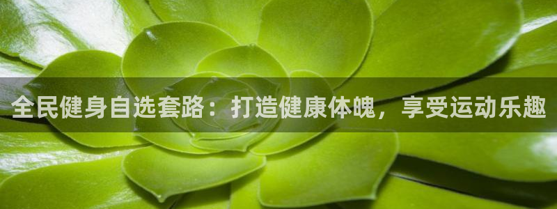尊龙凯时app官方网站：全民健身自选套路：打造健康体魄，