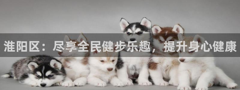 尊龙d88平台版下载：淮阳区：尽享全民健步乐趣，提升身心