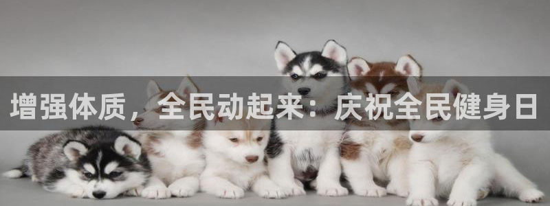 尊龙官网APP下载：增强体质，全民动起来：庆祝全民健身日