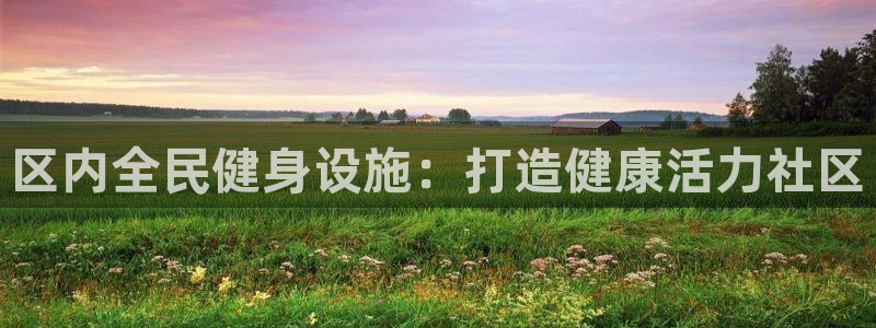 尊龙凯时app安装：区内全民健身设施：打造健康活力社区