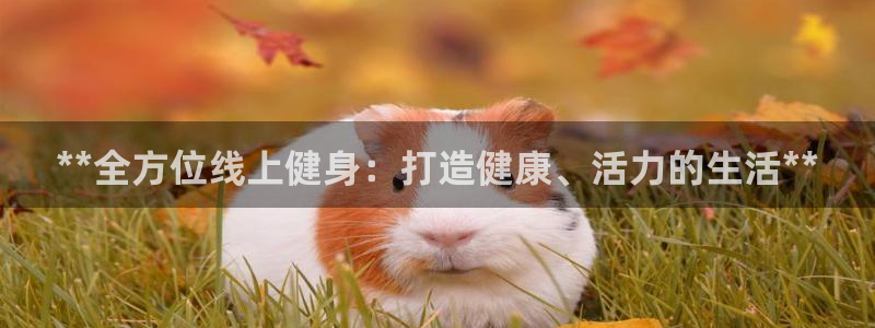 尊龙目前在哪：**全方位线上健身：打造健康、活力的生活*