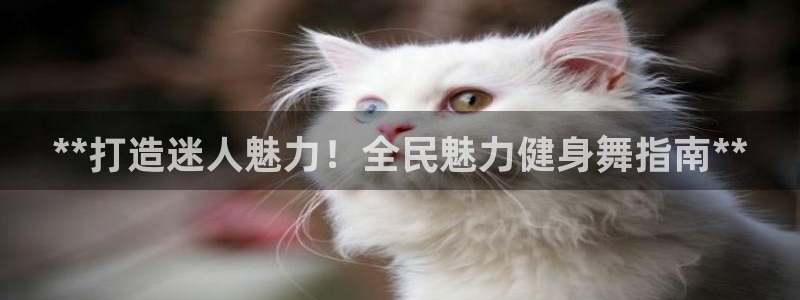 尊龙目前情况：**打造迷人魅力！全民魅力健身舞指南**