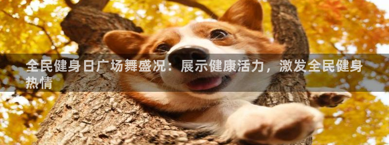 尊龙凯时俱乐部：全民健身日广场舞盛况：展示健康活力，激发