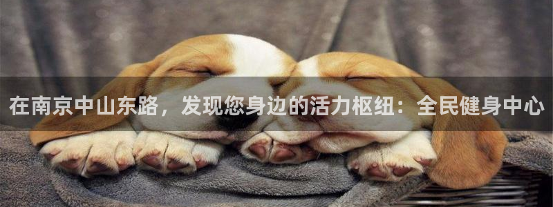 尊龙ag旗舰厅官网官方入口：在南京中山东路，发现您身边的