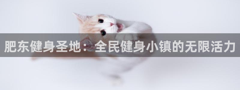 尊龙ag旗舰厅官网·(中国)官方入口：肥东健身圣地：全民