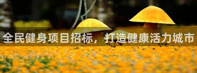 尊龙凯时电竞：全民健身项目招标，打造健康活力城市