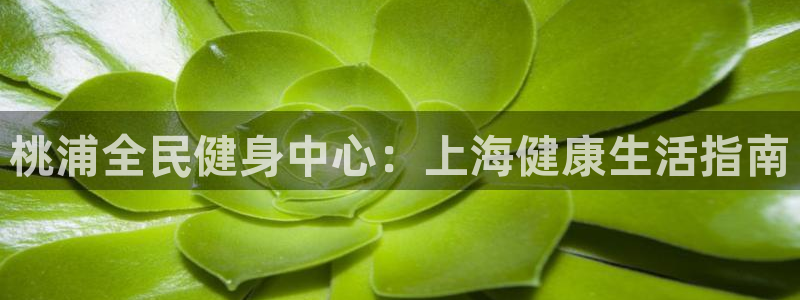 尊龙科技：桃浦全民健身中心：上海健康生活指南