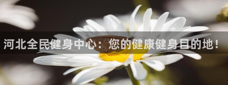d88尊龙官网登录免费下载：河北全民健身中心：您的健康健