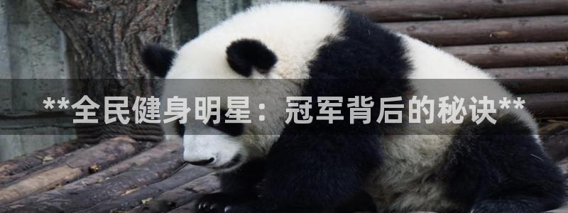 凯时国际平台有人赢吗：**全民健身明星：冠军背后的秘诀*