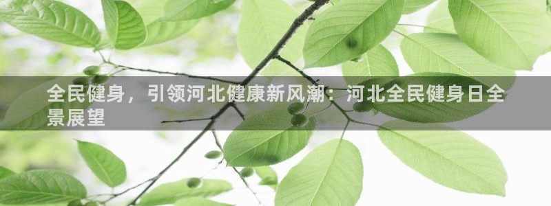 尊龙凯时正规吗：全民健身，引领河北健康新风潮：河北全民健