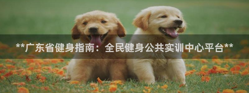 z6尊龙平台是哪里的：**广东省健身指南：全民健身公共实