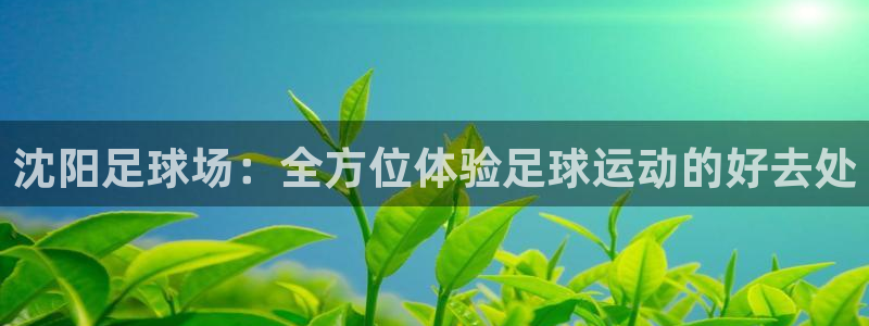 尊龙凯时泰安：沈阳足球场：全方位体验足球运动的好去处