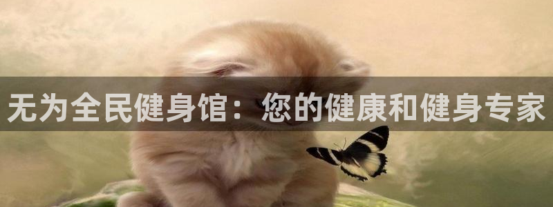 尊龙凯时百家乐手机下载：无为全民健身馆：您的健康和健身专