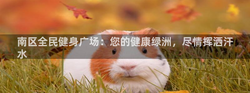 尊龙凯时只输不赢：南区全民健身广场：您的健康绿洲，尽情挥