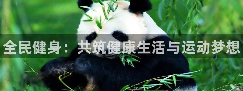 尊龙游戏官方网