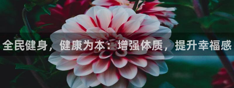 尊龙t400和尊龙t300区别：全民健身，健康为本：增强