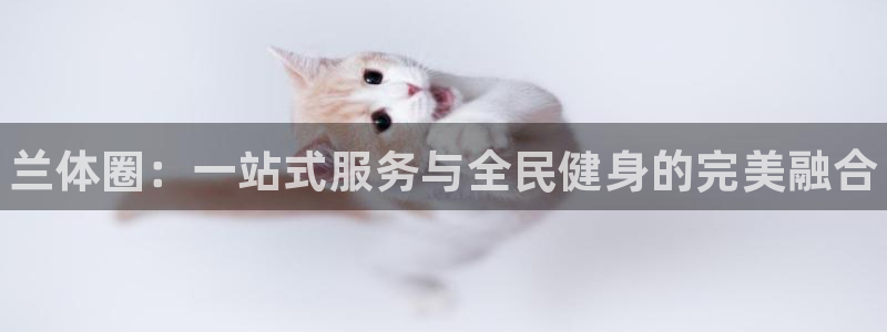 尊龙官网免费下载安卓