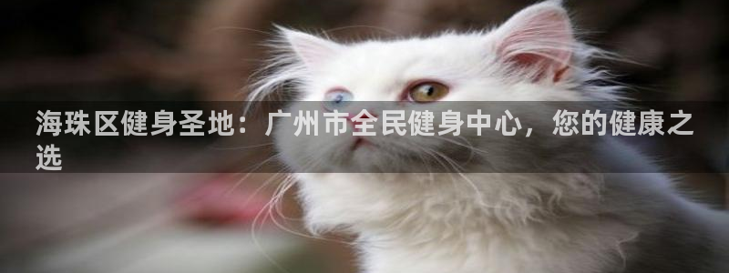 z6尊龙凯时旗舰厅首页：海珠区健身圣地：广州市全民健身中